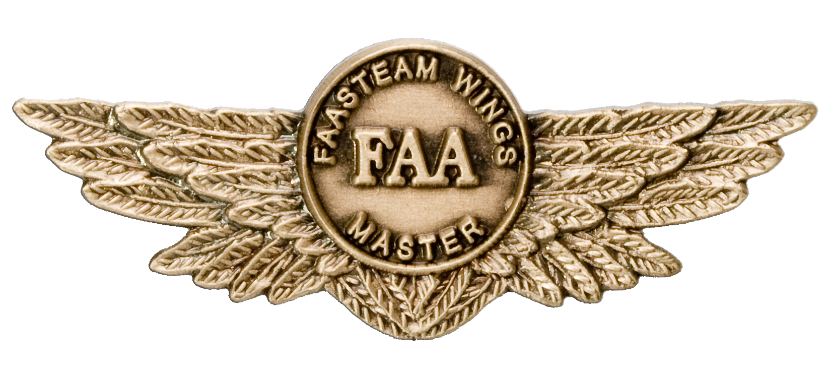 FAASTEAM WINGS MASTER